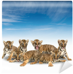 Bengal Tiger (400x400), Png Download