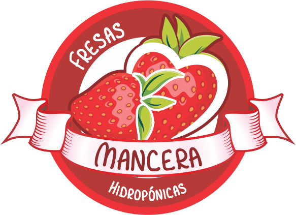 Strawberry (583x423), Png Download