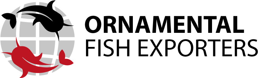 Malaysia Ornamental Fish Exporter (911x274), Png Download
