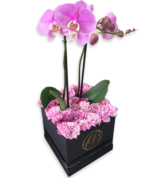 Caja De Rosas Lila Con Orquídea - Cajas De Rosas En Orquidea (600x600), Png Download