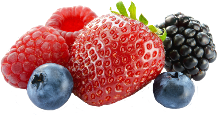 At Pacheco Customs Brokers, We Specialize Exclusively - Berry (800x567), Png Download