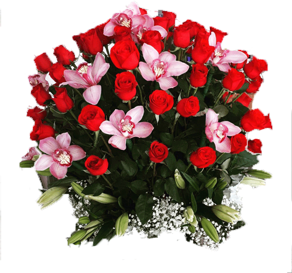 Rosas-orquideas - Transparent Background Guldasta Png (600x600), Png Download