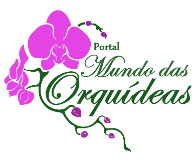 Portal Mundo Das Orquídeas - Orchids (400x400), Png Download