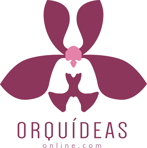 Logo De Orquidea (599x600), Png Download
