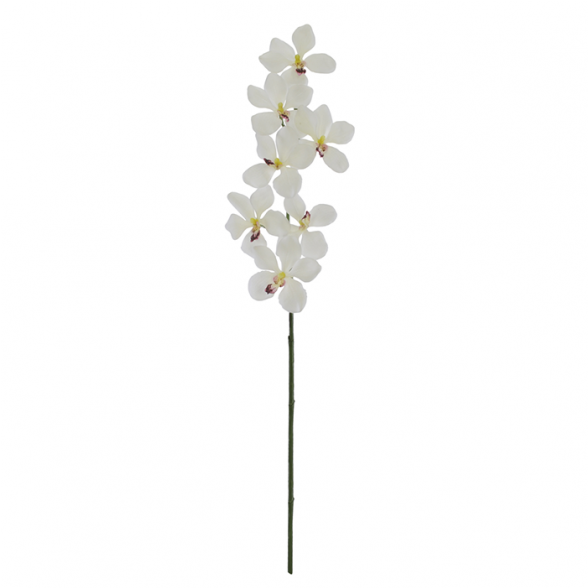Haste Flor Artificial Orquídea Vanda Branco 86cm - Artificial Flower (940x587), Png Download