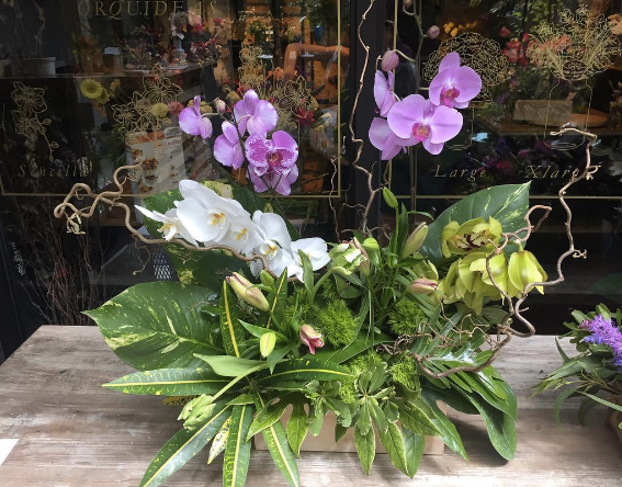 More Views - Boutique Flowers Panama (567x444), Png Download