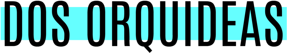 Cooperativa Medalla Milagrosa Telefono (1000x343), Png Download