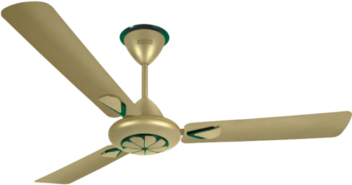 Luminous Three Blade Metal Ecstasy Ceiling Fan, Color - Brass Fan Online India (500x375), Png Download