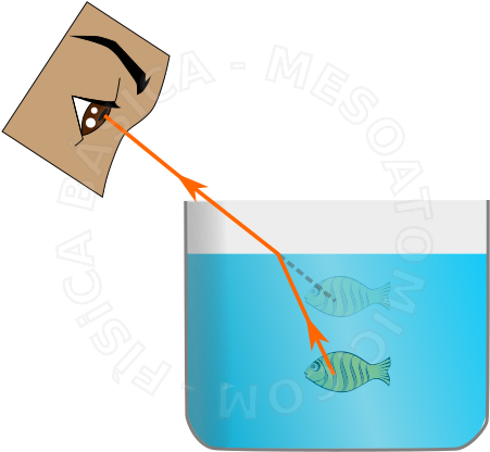Cuando La Luz Cambia De Medio, De Aire Para Agua, Por - Refraccion De La Luz Ejemplos (500x502), Png Download
