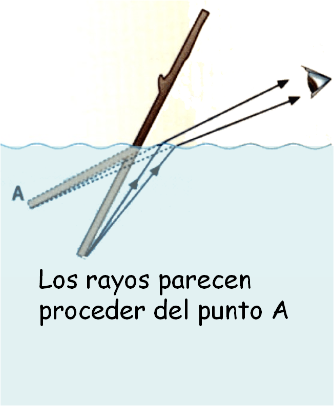 La Explicación De La Moneda Que Se Eleva Es La Siguiente - Marking Tools (652x793), Png Download