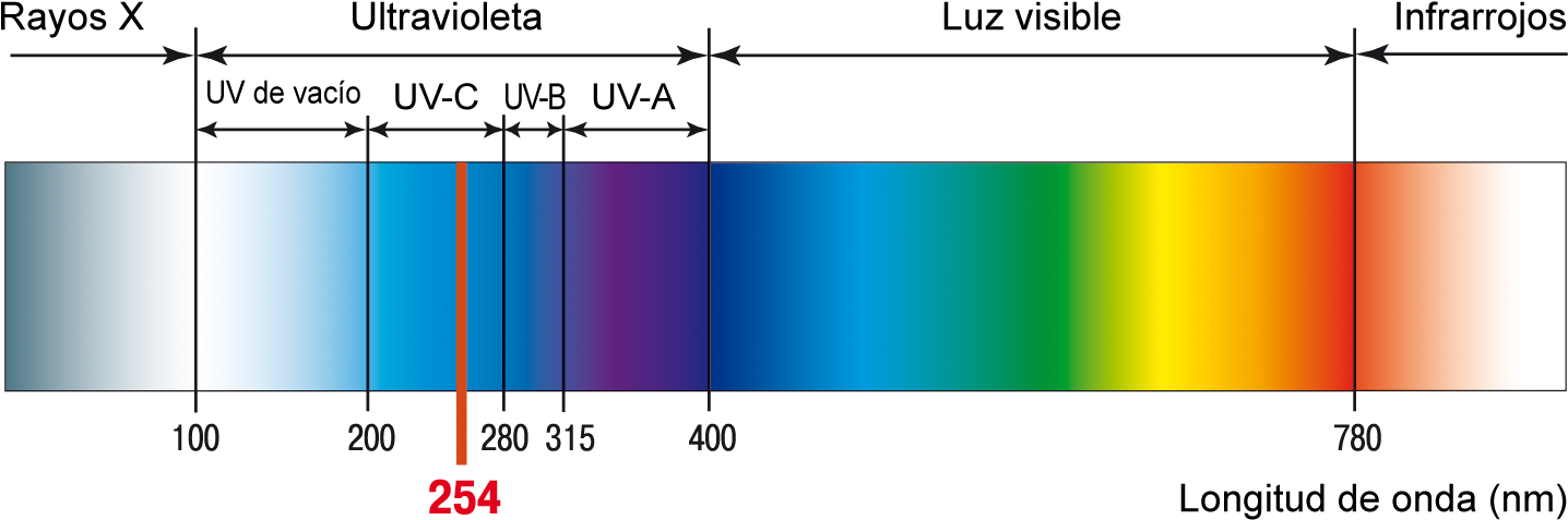 Los Rayos Uv De Menor Longitud De Onda, Son Aquellos - Longitud De Onda Radiacion Ultravioleta (1579x532), Png Download