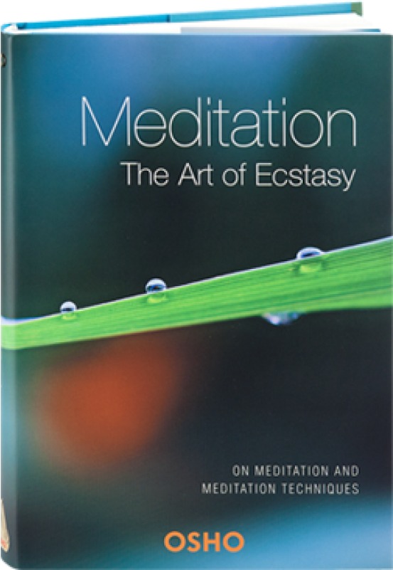 Meditation: The Art Of Ecstasy (on Meditation (800x800), Png Download