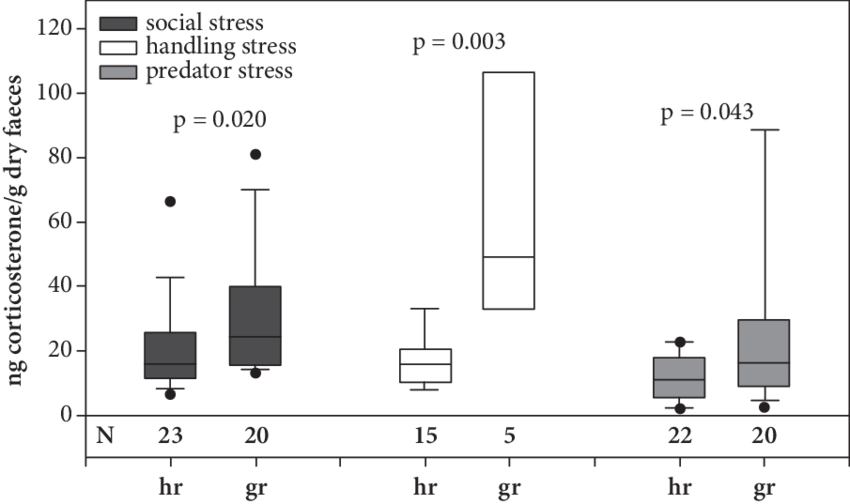 Excreted Corticosterone In Different Stress Situations - Diagram (850x504), Png Download