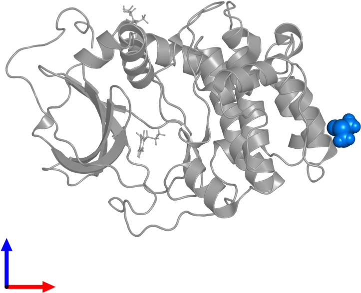 <div Class='caption-body'>pdb Entry 5n3l Contains 1 - Chain (800x800), Png Download