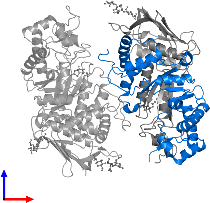 <div Class='caption-body'>pdb Entry 2gk1 Contains 1 - Protein Data Bank (800x800), Png Download