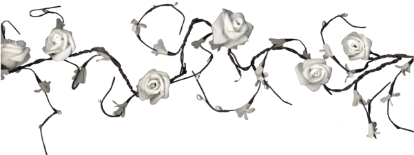 Light Chain Rossy - Decoratieverlichting - Warm Wit - Best Season (600x600), Png Download