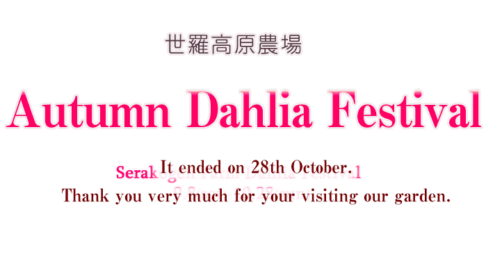 Dahlia Festival - Serakogen Farm (1020x400), Png Download