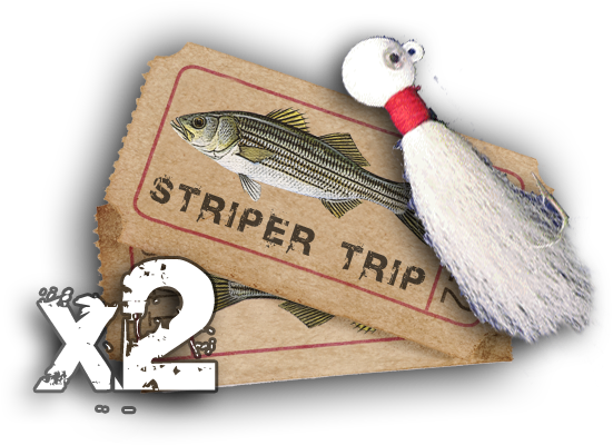 Striper-x2 - Duck (600x600), Png Download