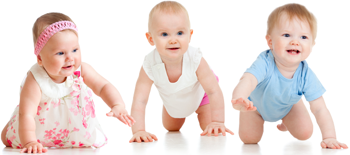 Saltar Al Contenido - Lena Roll Me Car (731x304), Png Download