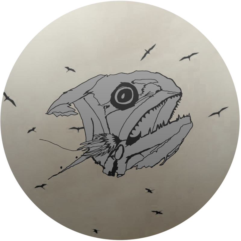 Catfish (800x800), Png Download