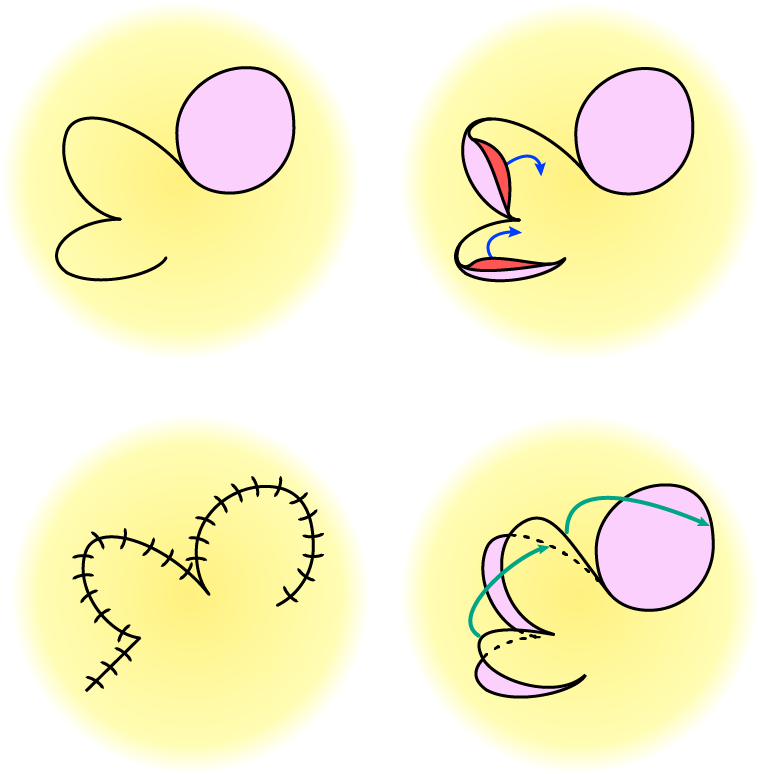 Top Left - Circle (759x774), Png Download