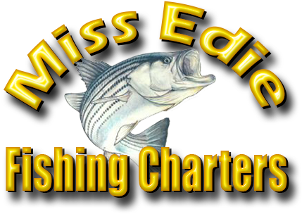 Striper Fishing Charters - Stripe Bass Pillow Sham (460x313), Png Download