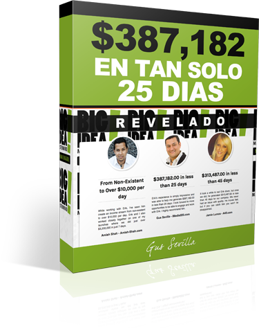 Oferta Especial De Lanzamiento - Flyer (375x478), Png Download