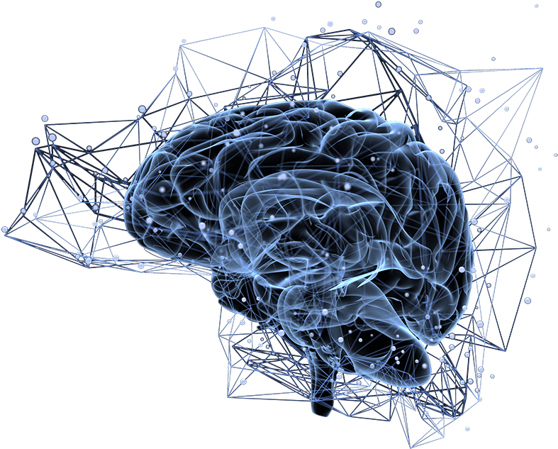 Brain Neuro Pathways - Brain (1000x667), Png Download