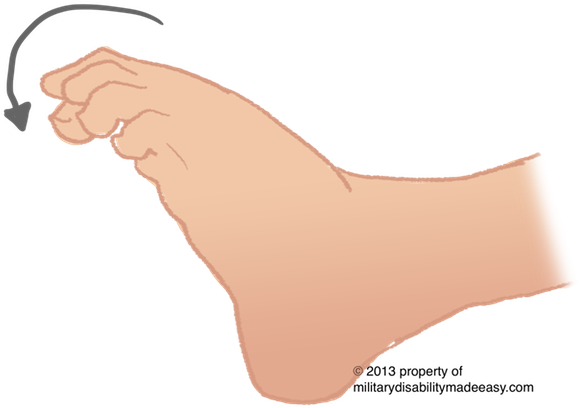 Lower Nerve 12 - Paw (588x418), Png Download