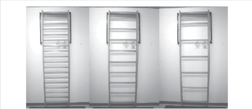 Climbing Ladder In All Three Forms Of The Testing Task - Sliding Door (850x370), Png Download