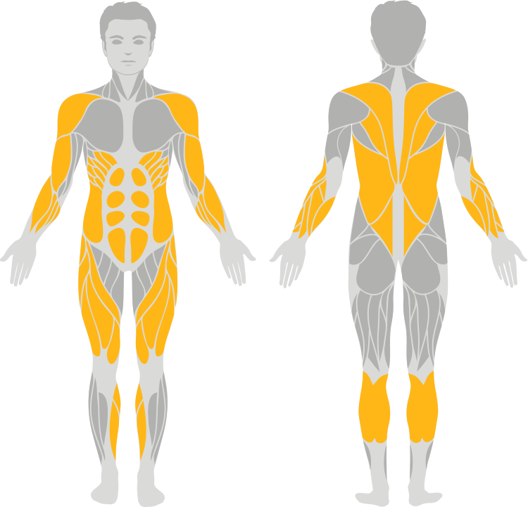 Timber And Steel Ladder Used Primarily For Improving - Plank Hip Dips Muscles Worked (750x721), Png Download