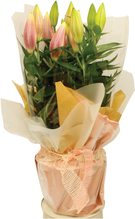 Lily Pot Gift Wrap 1600 - Bouquet (800x800), Png Download