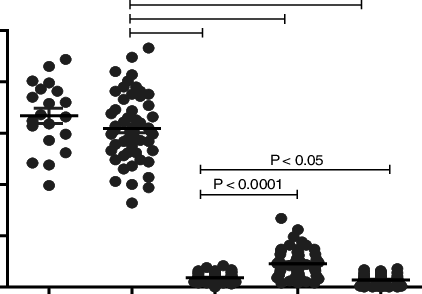 Wt And Transgenic Vgr3 , Vg Ceca C32, Vg Defa X1, And - Diagram (422x294), Png Download