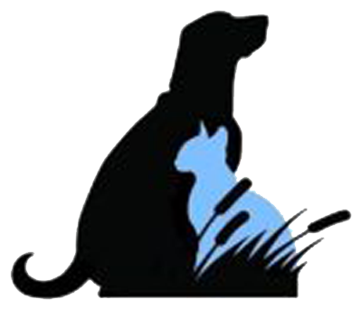 Animal Shelter - Animal Rescue (418x360), Png Download