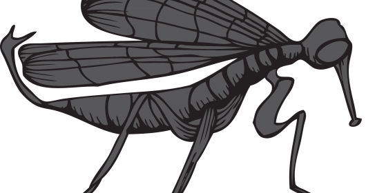 Diy Mosquito Trap Thats Shockingly Simple To Make - Mosquito (530x280), Png Download