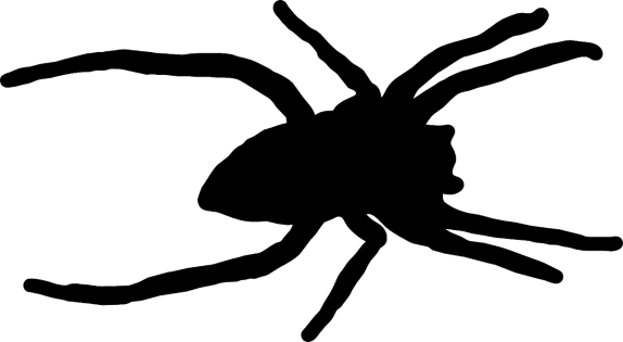 Spiders - Prestige Pest Control Services (574x315), Png Download