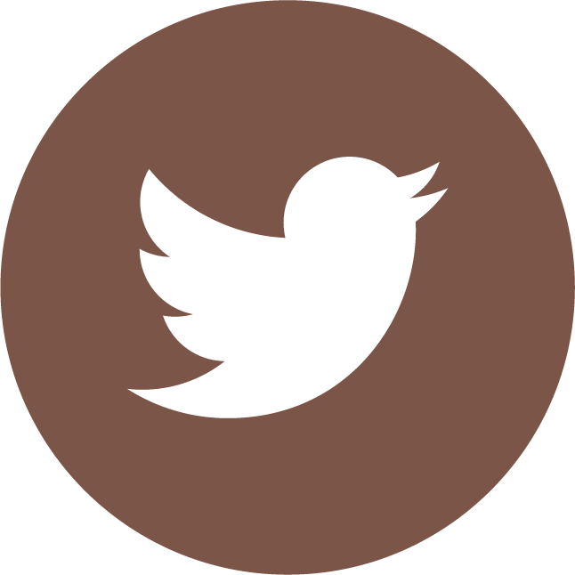 Twitter Icon Circle Logo Brown - Twitter Circle Icon Vector (646x646), Png Download