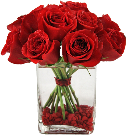 Rosa Vidro - Roses Are Red Violets Are Blue Poems Funny In Urdu (548x505), Png Download