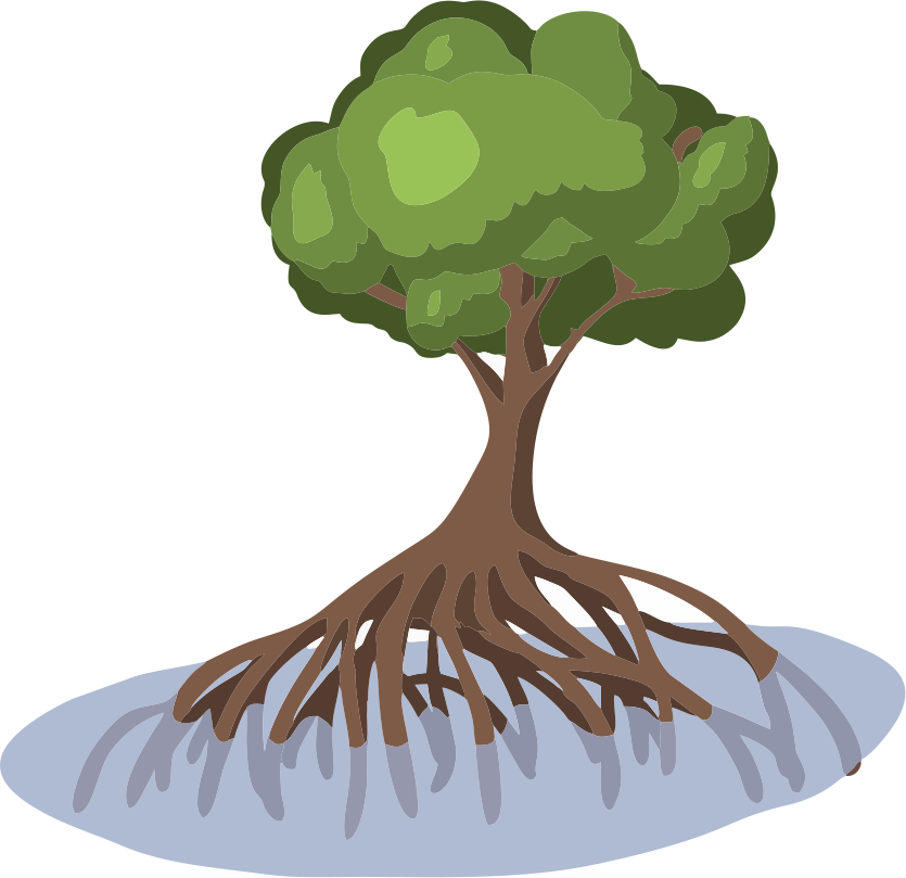 Mangrove - Mangrove Cartoon (835x809), Png Download