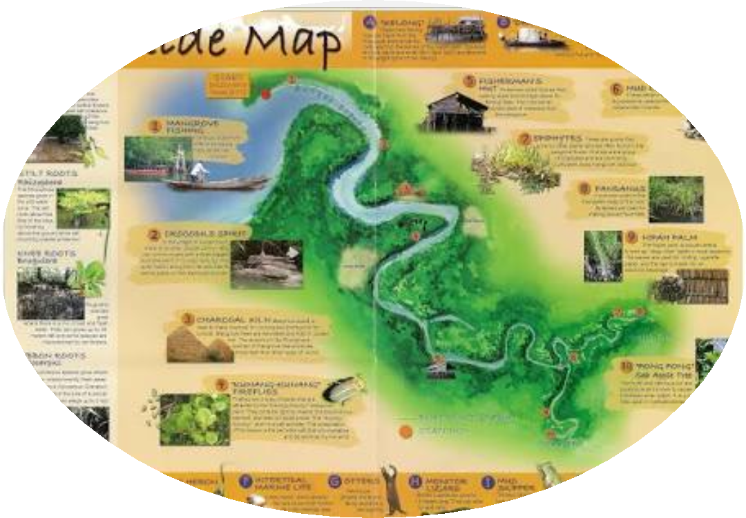 Taxi Service Return Land Transfer From Your Hotel To - Mangrove Tour Bintan (1080x751), Png Download