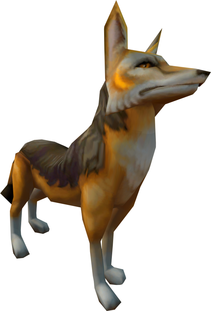 Jackal Png - Runescape Jackal (677x999), Png Download