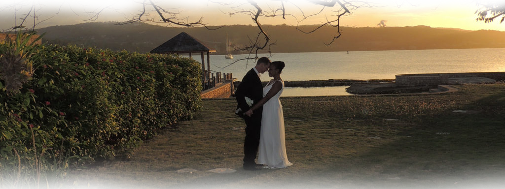 Exotic Dream Weddings Background - Romance (1024x384), Png Download