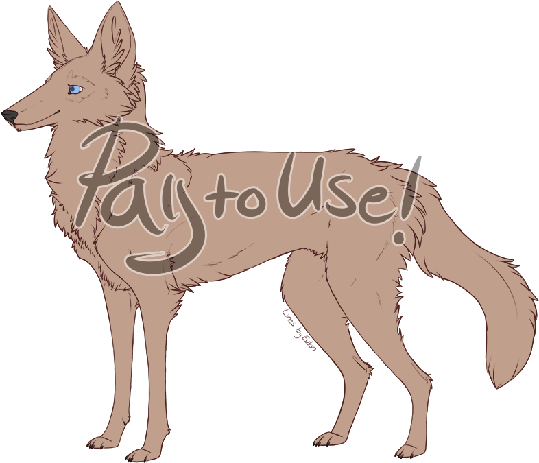 Black Backed Jackal - Dog Catches Something (823x823), Png Download