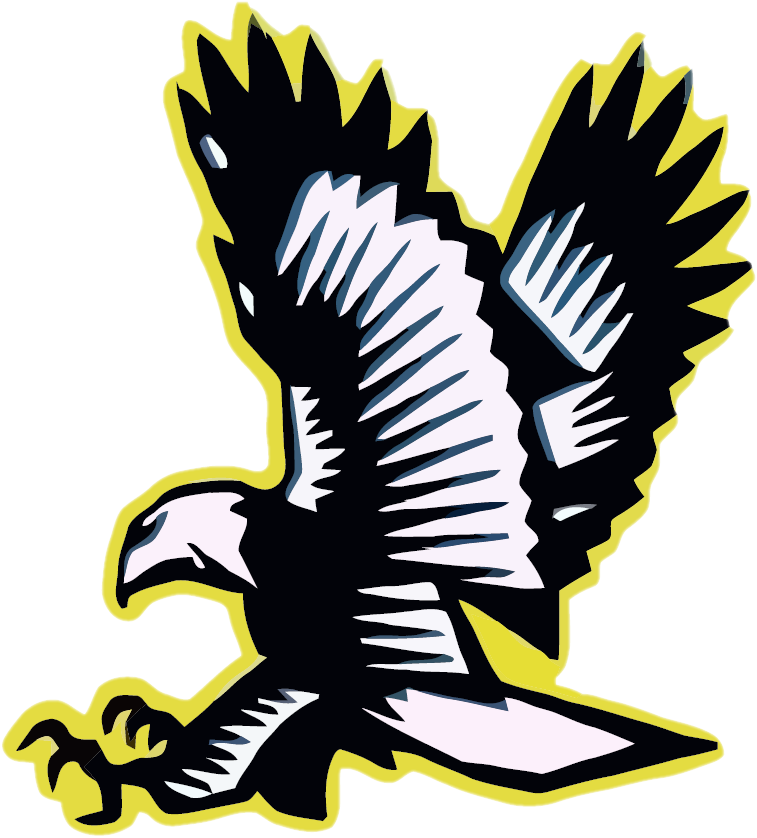 Lakeville Falcons - Lakeville Falcons High School Logo (757x838), Png Download