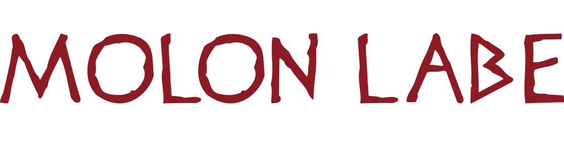 The Holland Camp - Percy Jackson Camp Half Blood Png (1116x279), Png Download