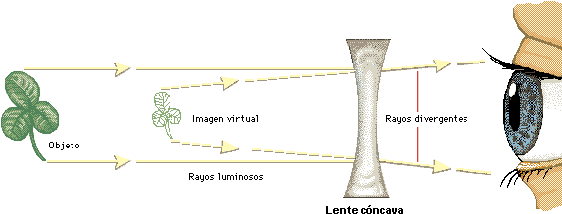 Capaz De Desviar Rayos De Luz - Mecanismo De La Vision (594x254), Png Download
