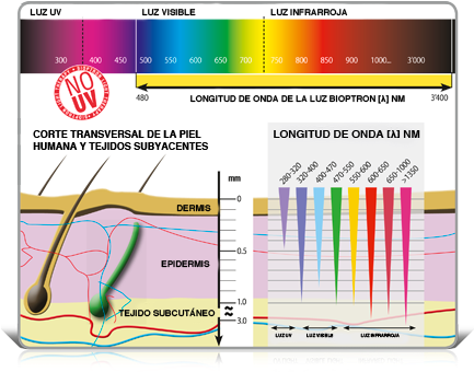No Uv Es - Fototerapia Longitud De Onda (432x357), Png Download