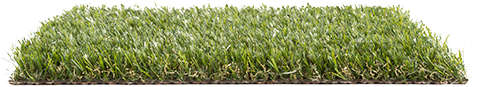 Nature Turfgrass Psh - Lawn (480x350), Png Download