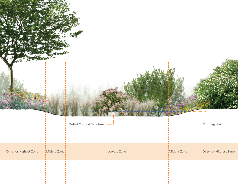 Bio Infiltration (792x612), Png Download