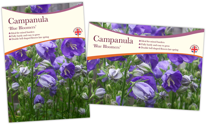 Corex-boards - Spring Crocus (765x400), Png Download